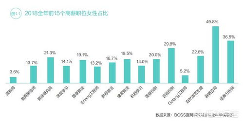 工程計(jì)算、計(jì)算機(jī)科學(xué)與技術(shù)、軟件工程、信息工程及信息技術(shù)咨詢 薪酬對(duì)比與職業(yè)前景分析